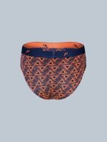 Freedom Men’s Premium Printed Briefs with no-marks waistband, anti-bacterial finish & soft high-stretch fabric for all-day comfort & style. - Image 33