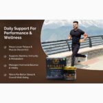 Shilajit Resin – Pure Himalayan Energy Booster - Image 4